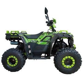 Квадроцикл Spark SP125-11 (заводська упаковка) 