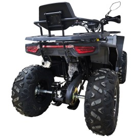 Квадроцикл Spark SP125-12 (заводська упаковка)