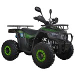 Квадроцикл Spark SP125-12 (заводська упаковка)