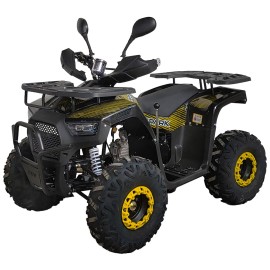 Квадроцикл Spark SP125-12 (заводська упаковка)