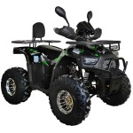 Квадроцикл Spark SP125-12Е (заводська упаковка) 