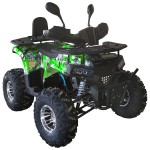 Квадроцикл Spark SP125-13 (заводська упаковка) 