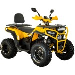 Квадроцикл Spark SP200-5E (заводська упаковка)