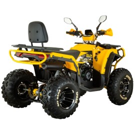 Квадроцикл Spark SP200-5E (заводська упаковка)