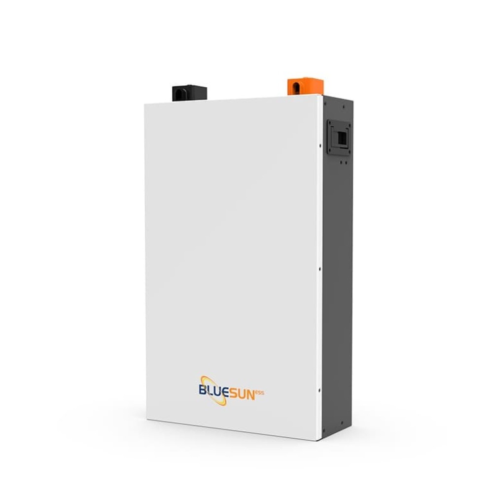 Аккумулятор BlueSun BSM 48100 48-100, BMS LiFePO4
