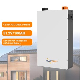 Акумулятор BlueSun BSM 48100 48-100, BMS LiFePO4