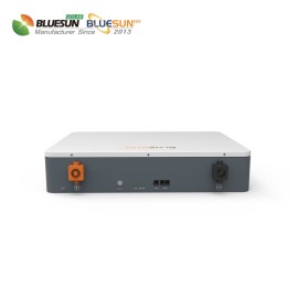 Аккумулятор BlueSun BSM 48200 48-200, BMS LiFePO4