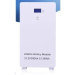 Акумулятор DAXTROMN 51.2V (48V) 200Ah LiFePO4 Power Wall, 10.24 kWh