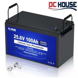 Акумулятор LiFePO4 24В 100Аг (25.6V) 2560Вт-г з BMS, DC HOUSE