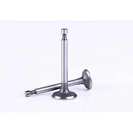 Клапани, к-т: 2 шт. - 156F