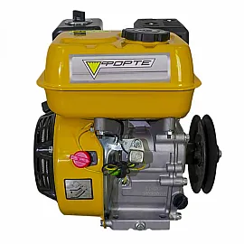 Двигун бензиновий Forte F210G
