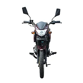 Мотоцикл Spark SP125C-2CDN