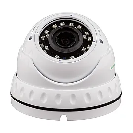 Антивандальна IP камера GV-060-IP-E-DOS30V-30